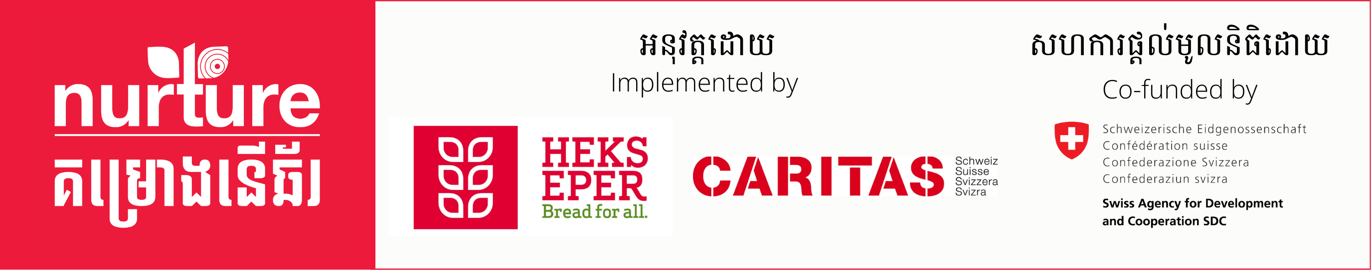 Footer Logo
