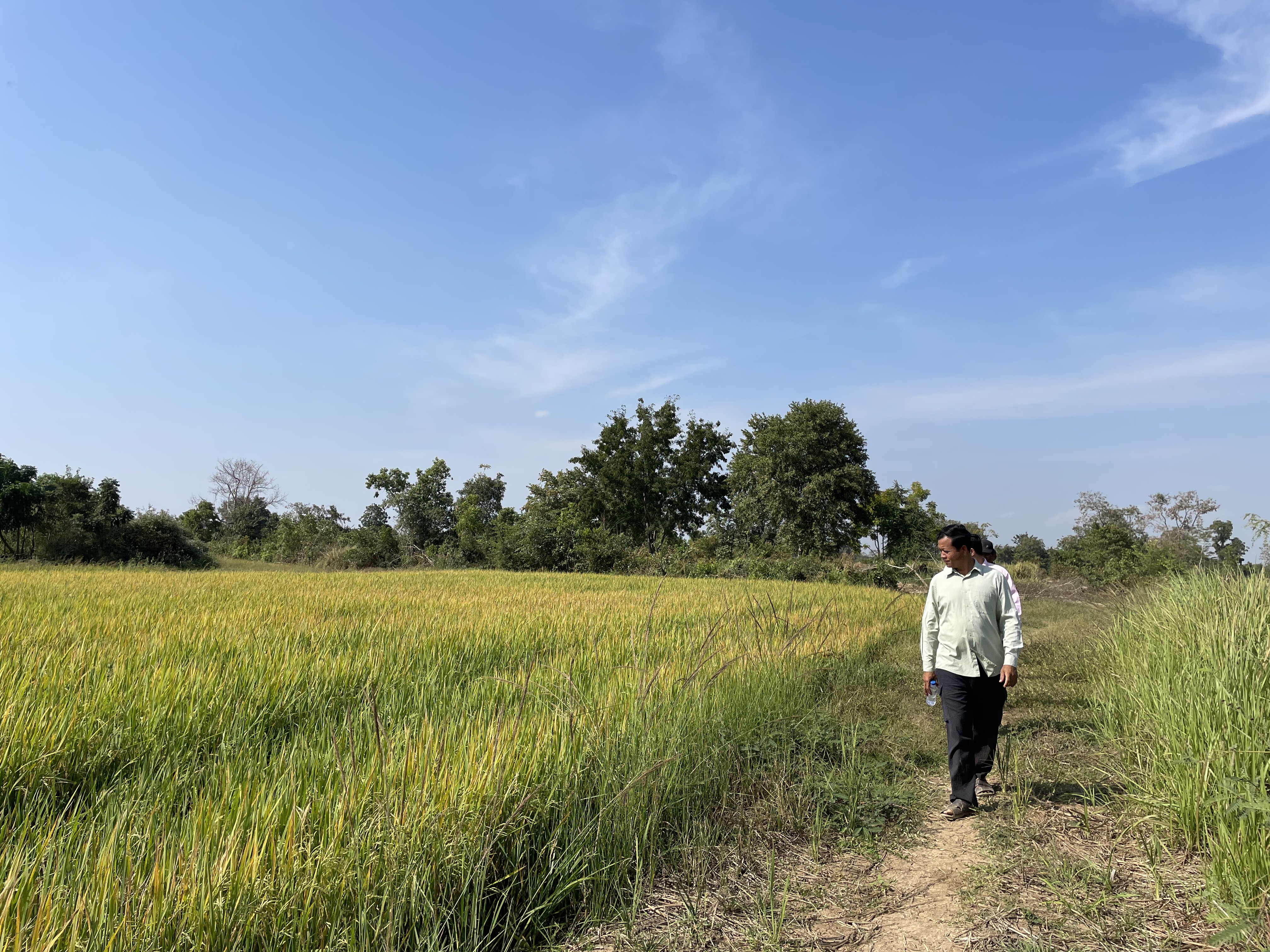 Solar Irrigation Results