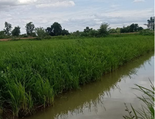 Traditional Farming Challenges