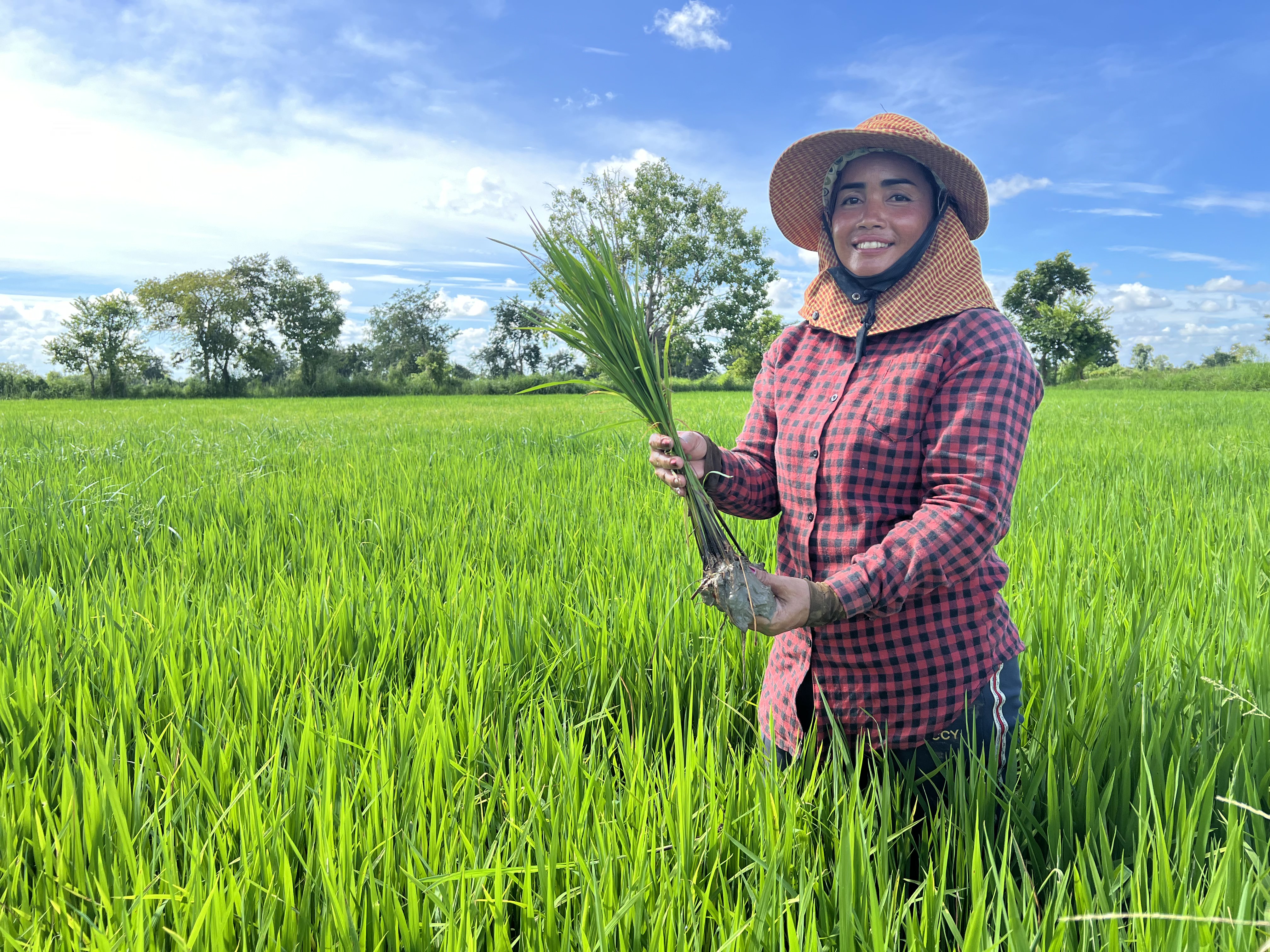 Solar irrigation system installation