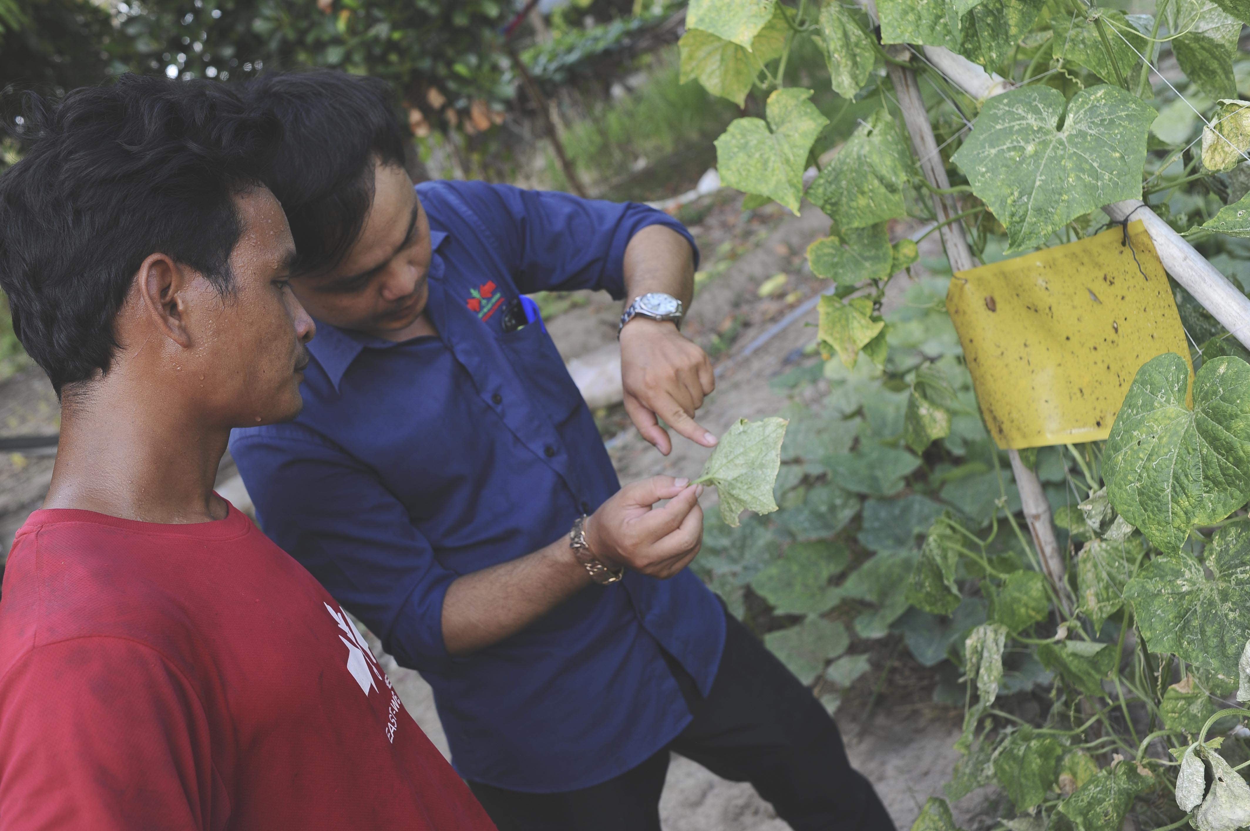 Successful harvest results