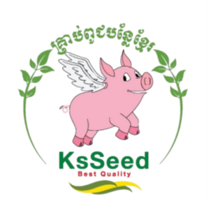 KS Seed logo